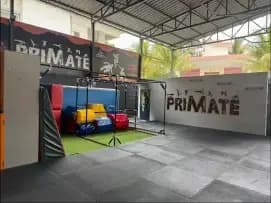 The Primate Movement